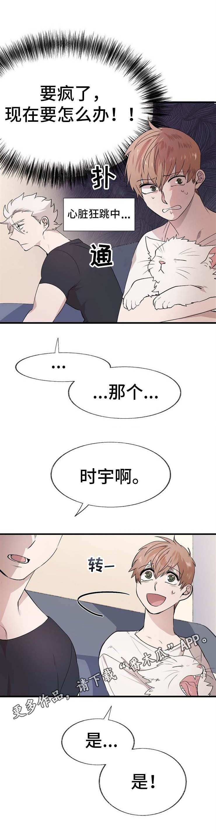 3.jpg