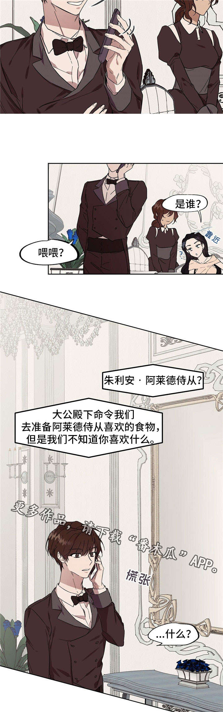 13.jpg