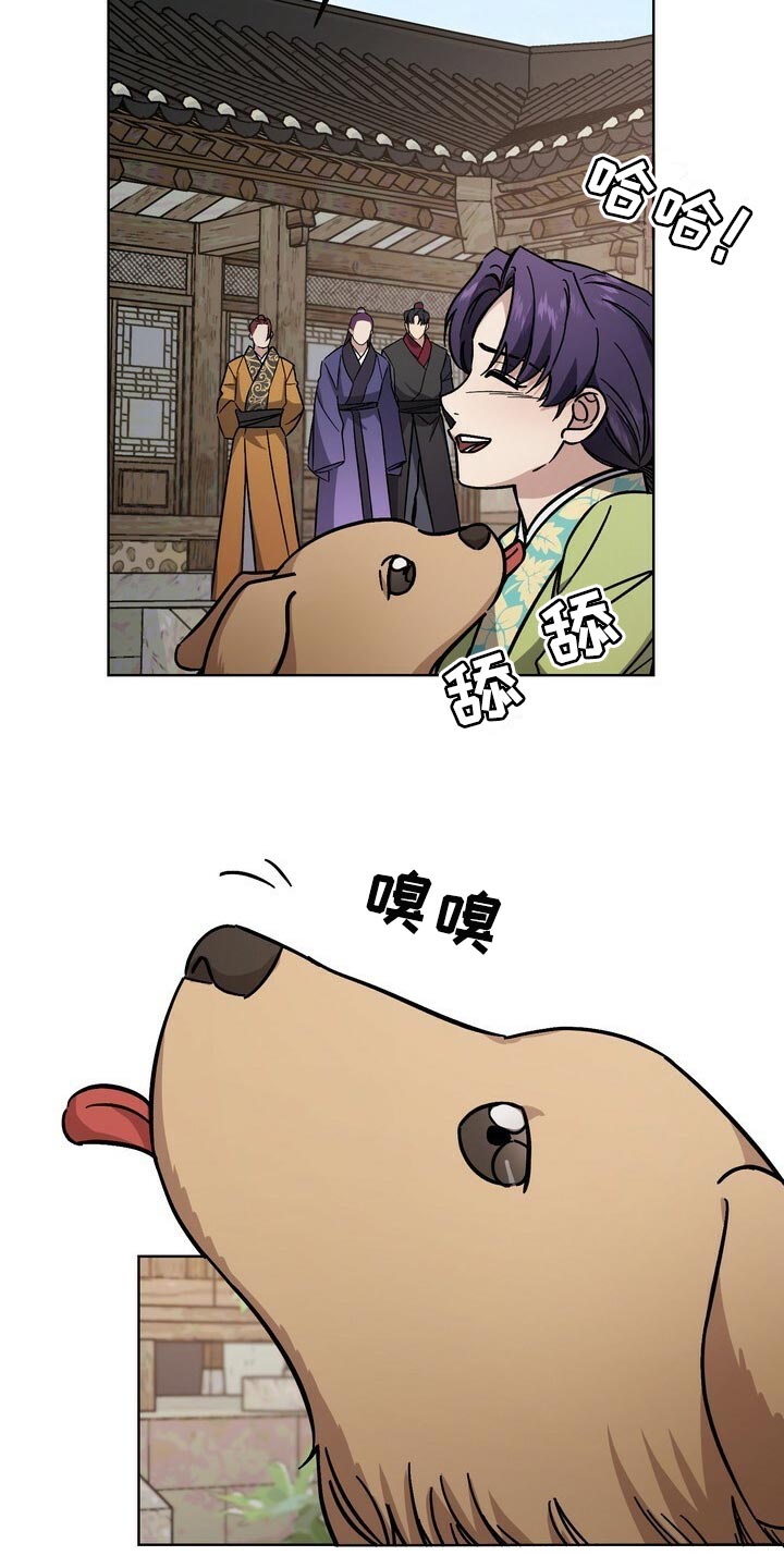 15.jpg