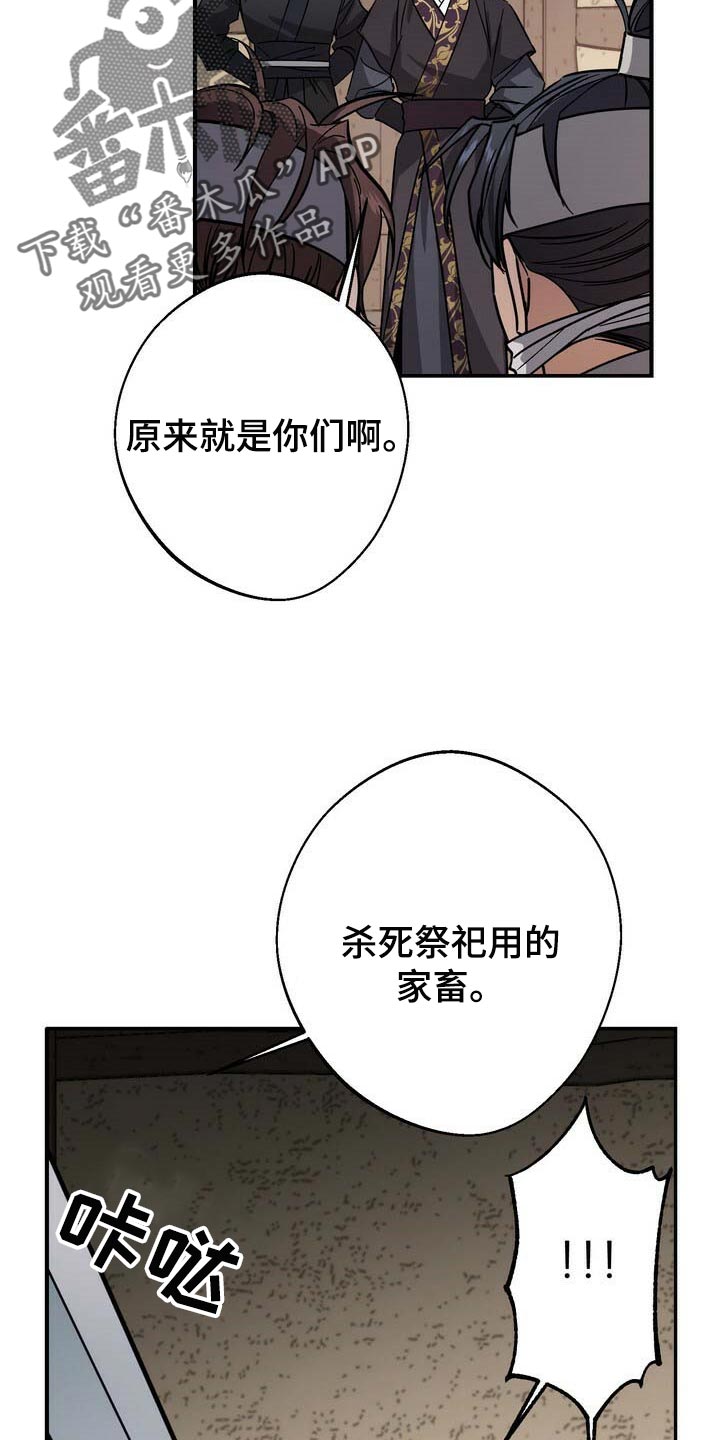 17.jpg