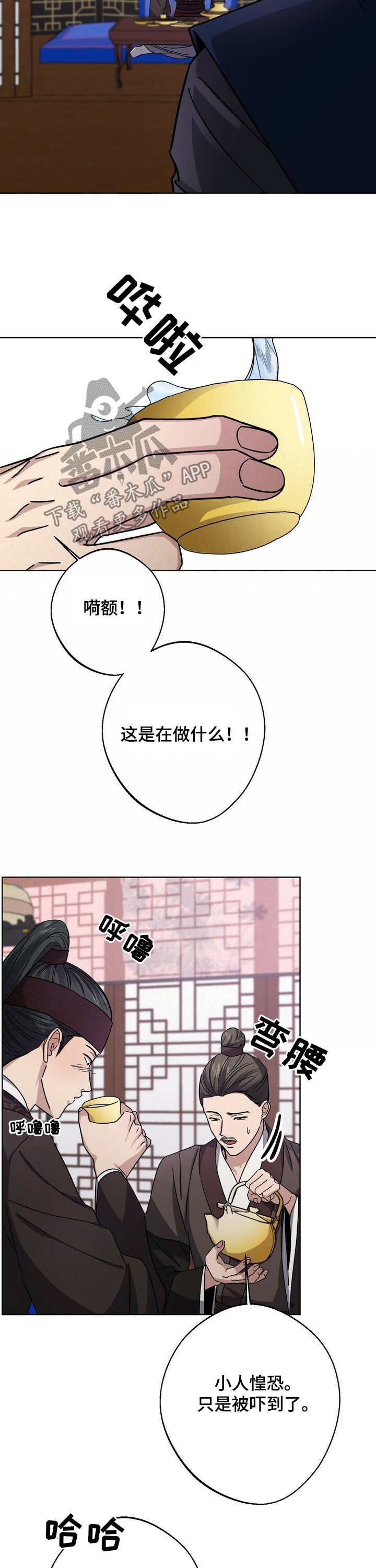 5.jpg