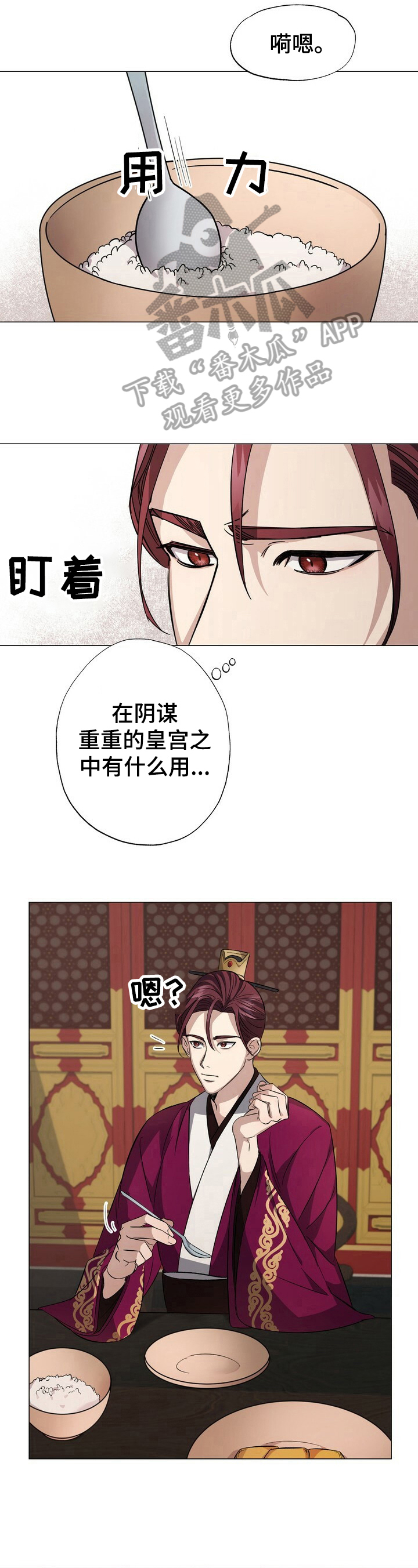 5.jpg