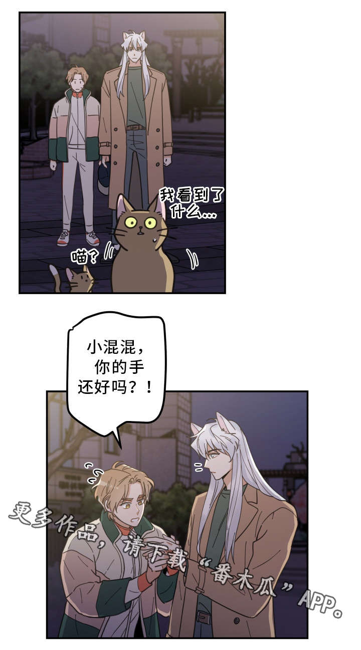 11.jpg