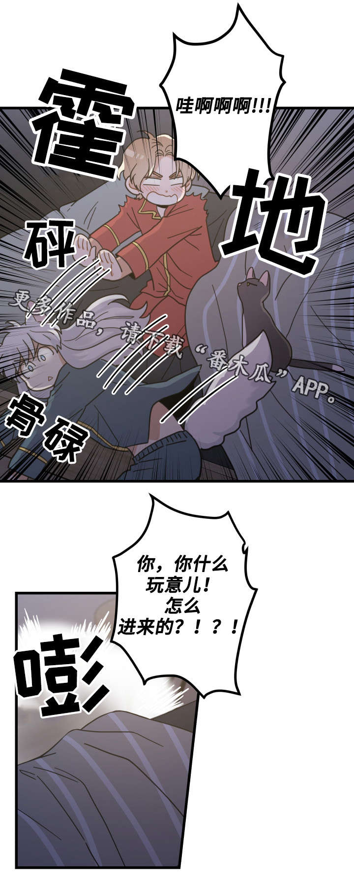 16.jpg