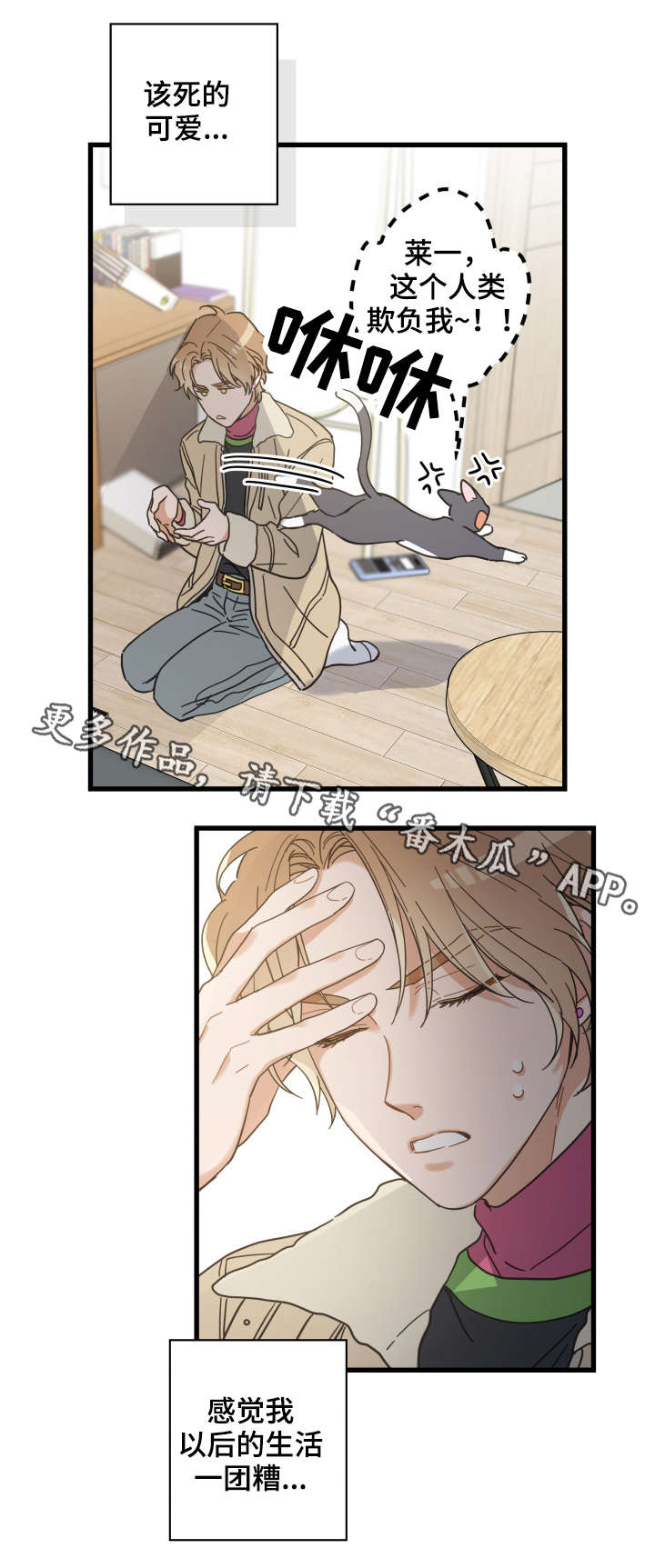 5.jpg