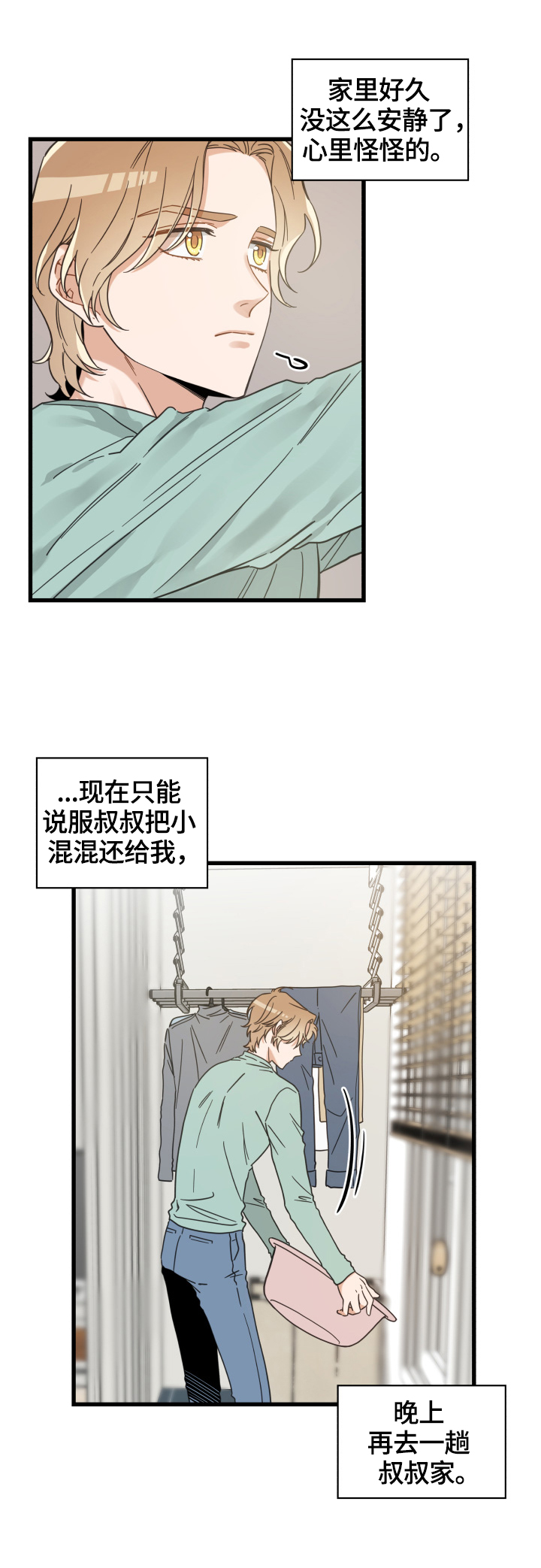 11.jpg