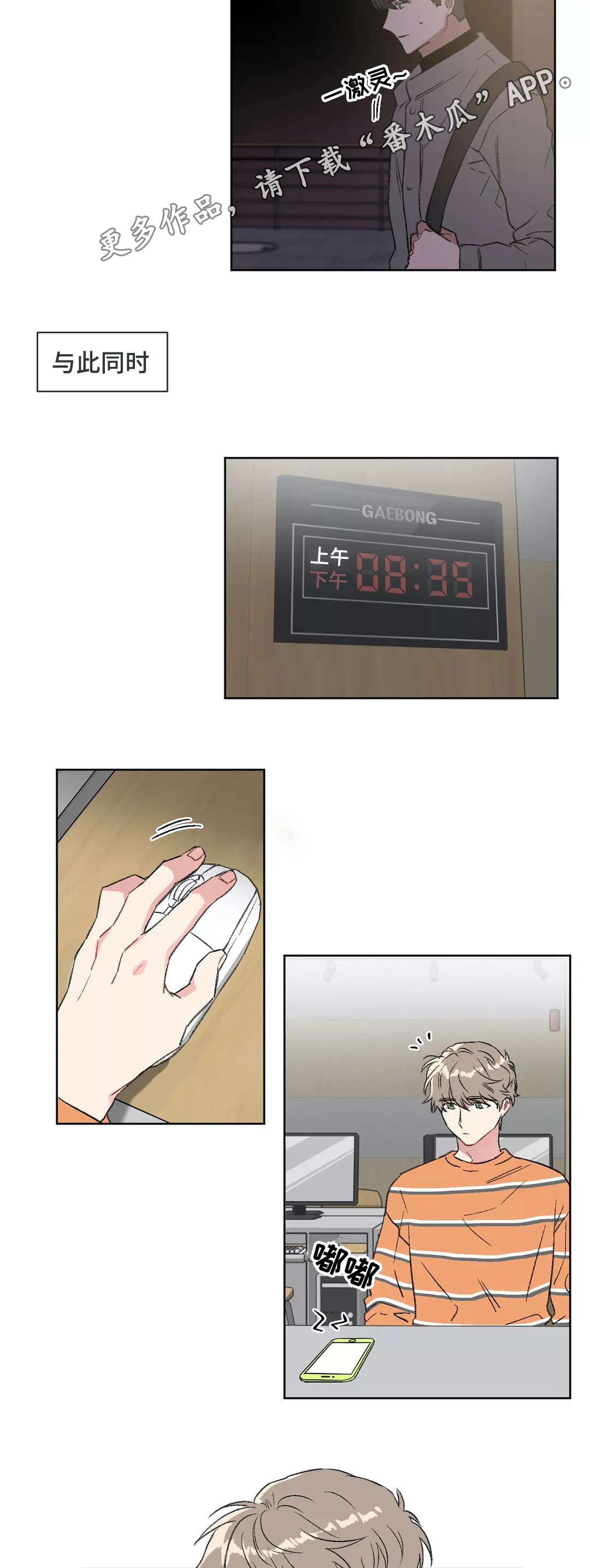 6.jpg
