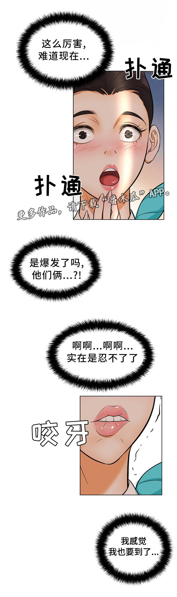 13.jpg