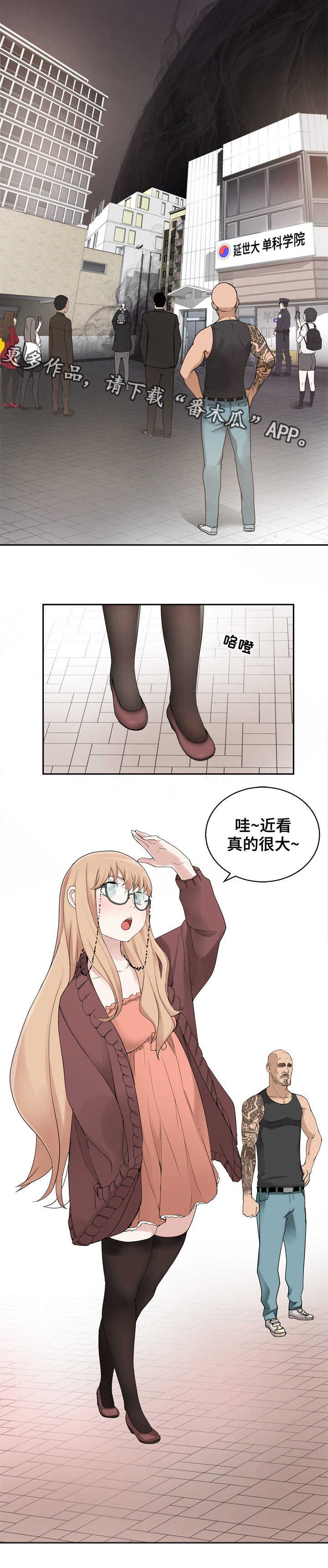 6.jpg