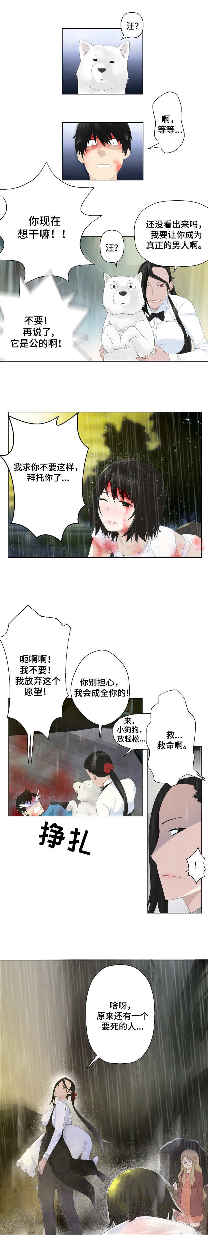 9.jpg