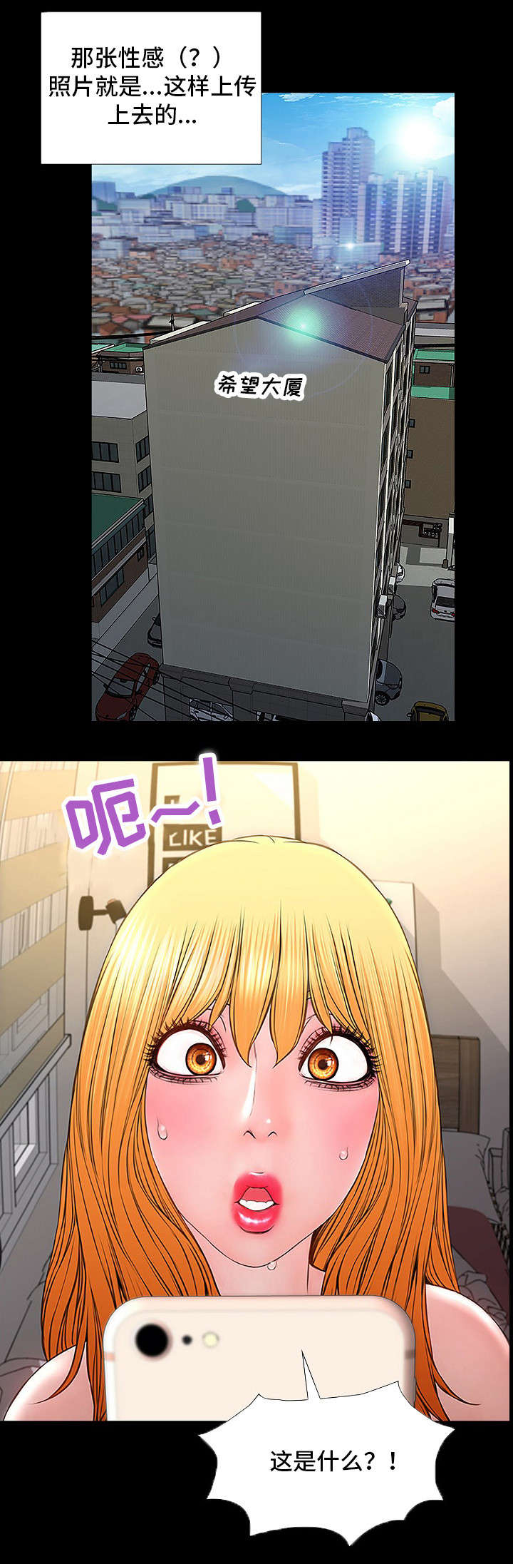 12.jpg