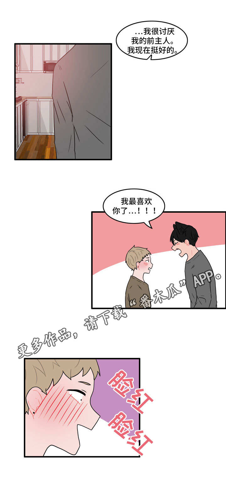12.jpg