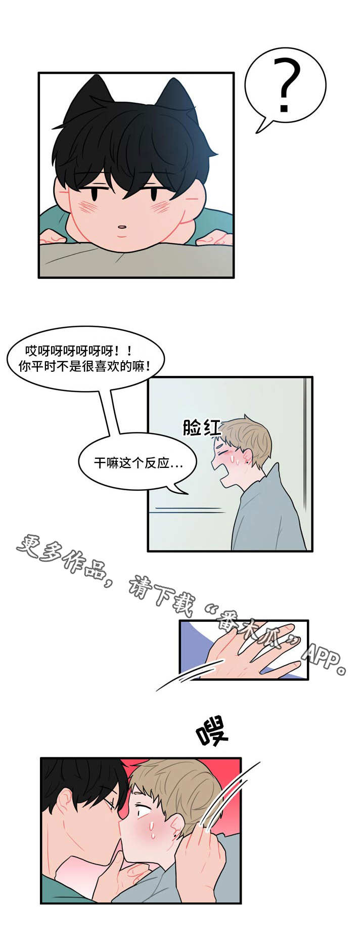 5.jpg