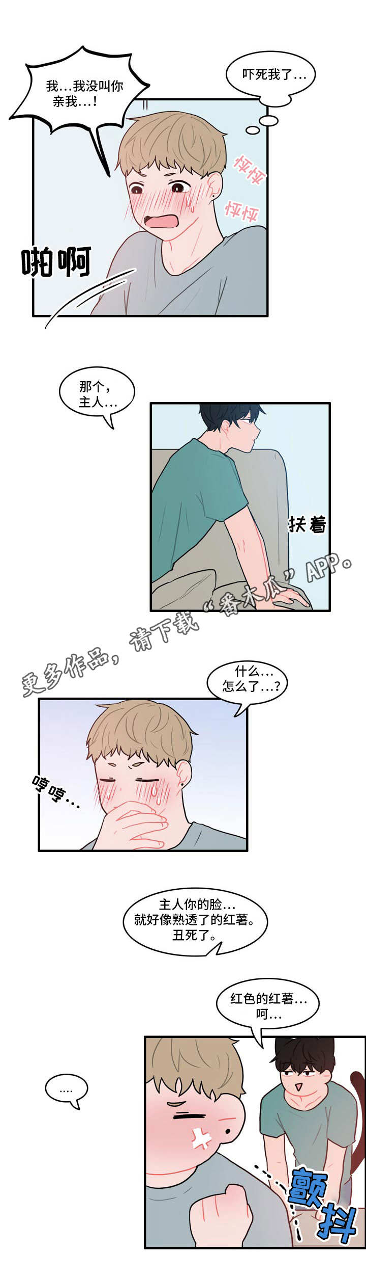 6.jpg