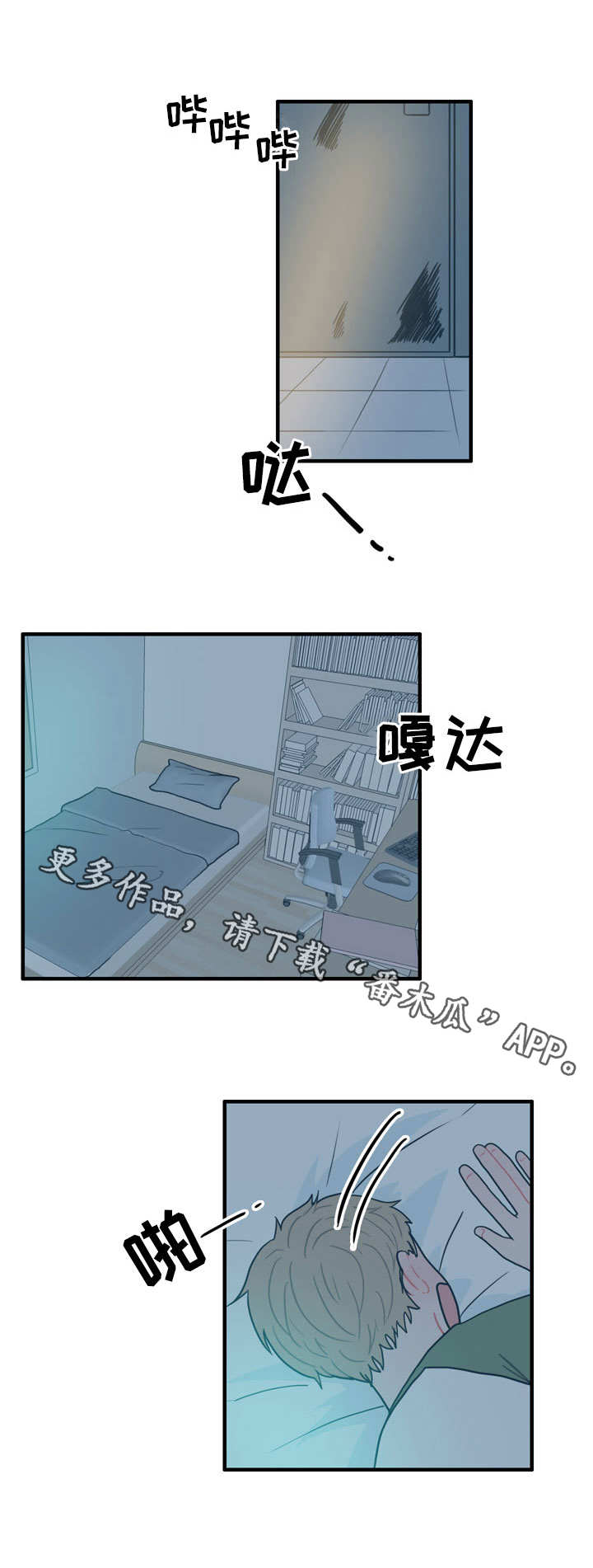 5.jpg