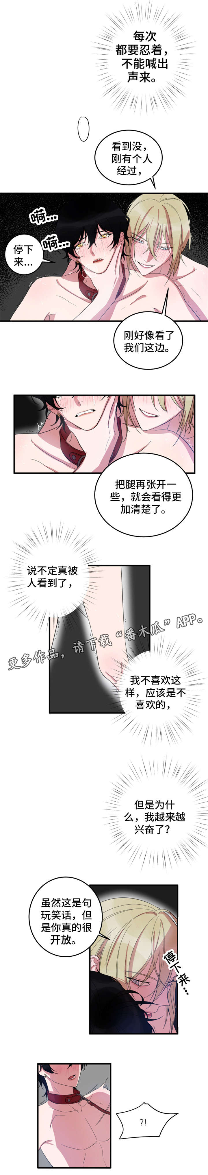 7.jpg
