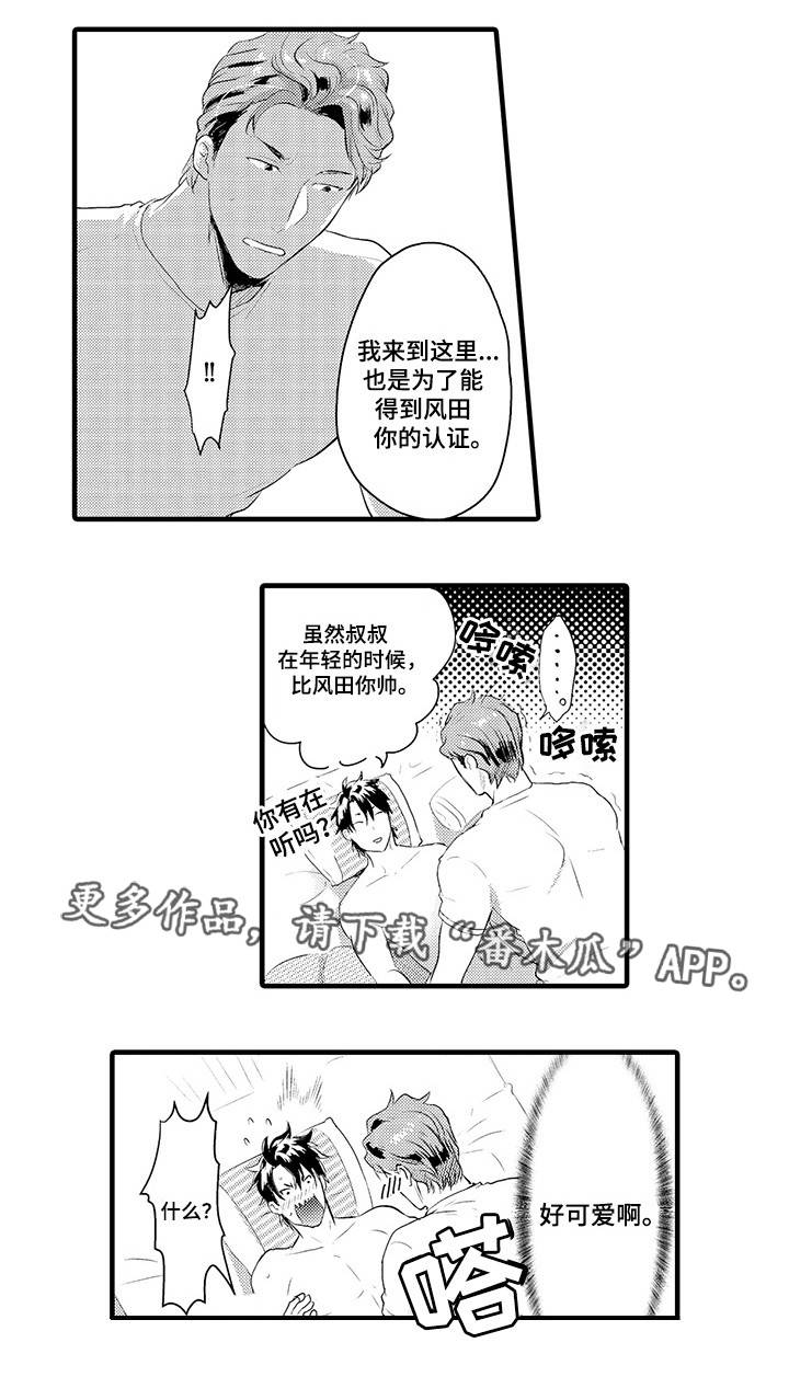 11.jpg