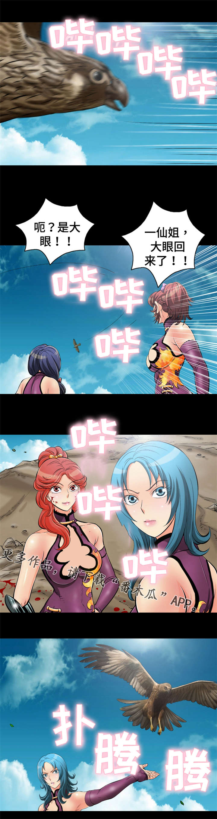 5.jpg