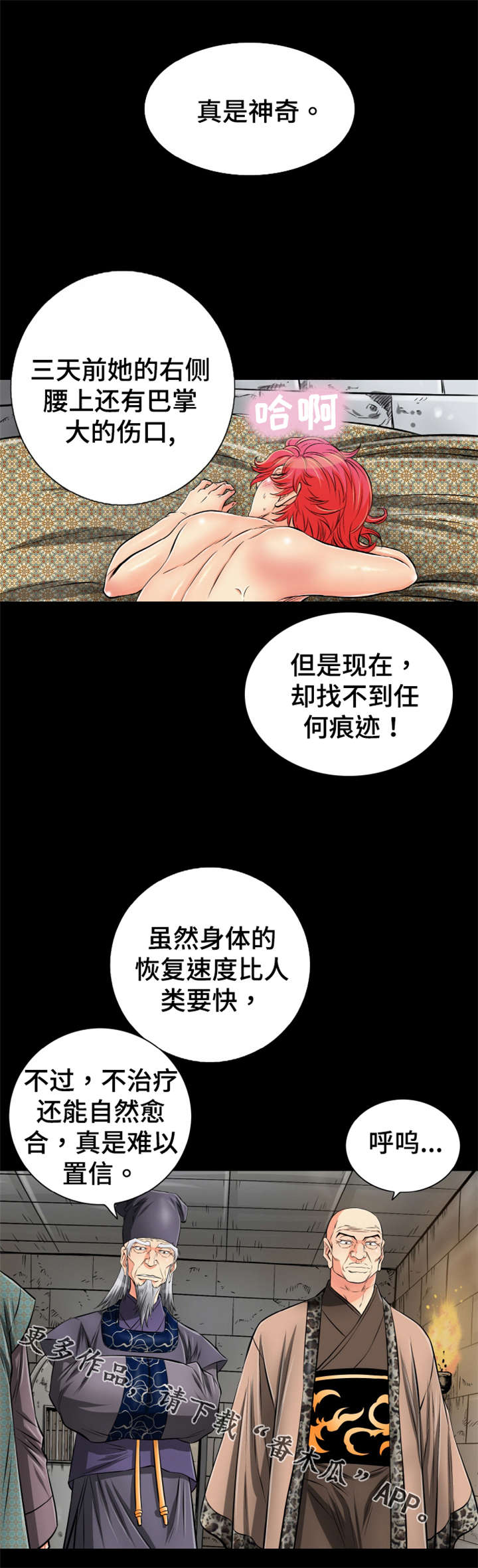 11.jpg