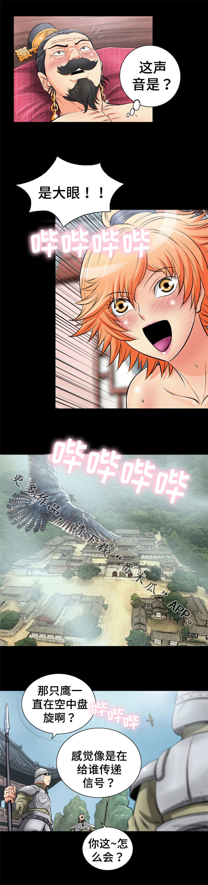 18.jpg