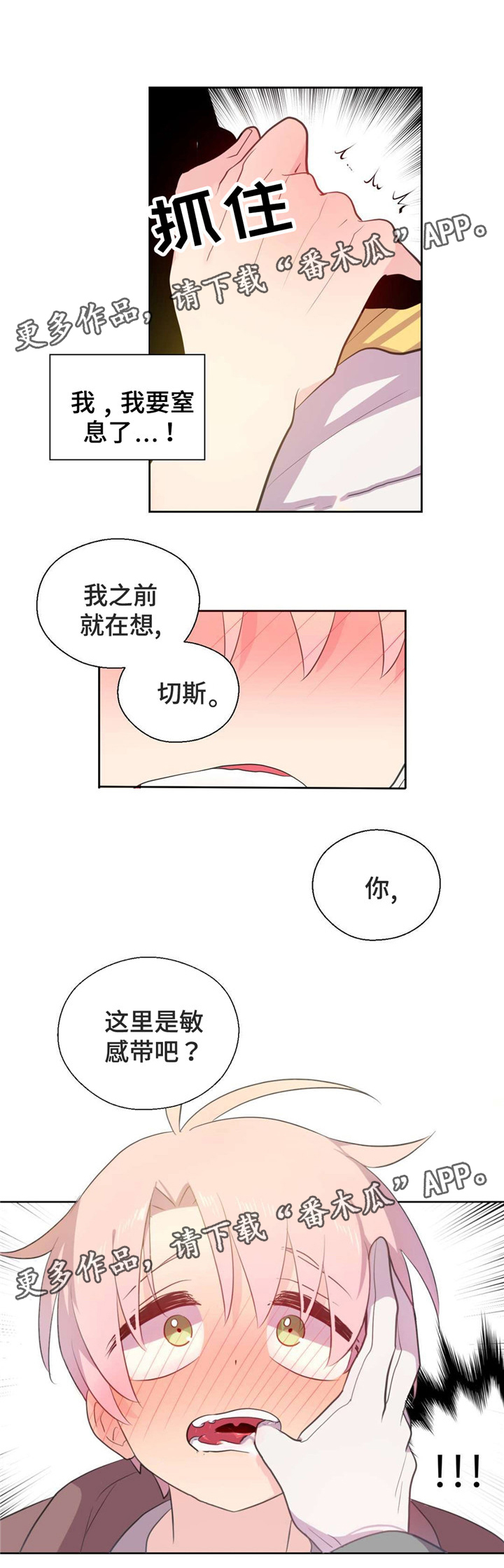 8.jpg