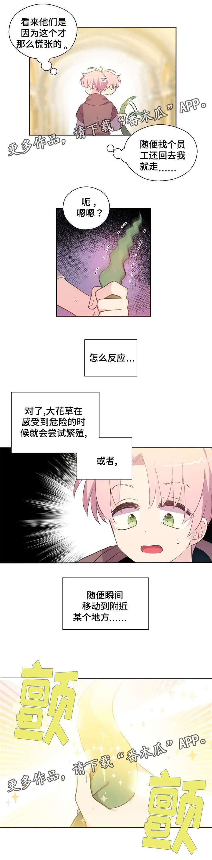 3.jpg