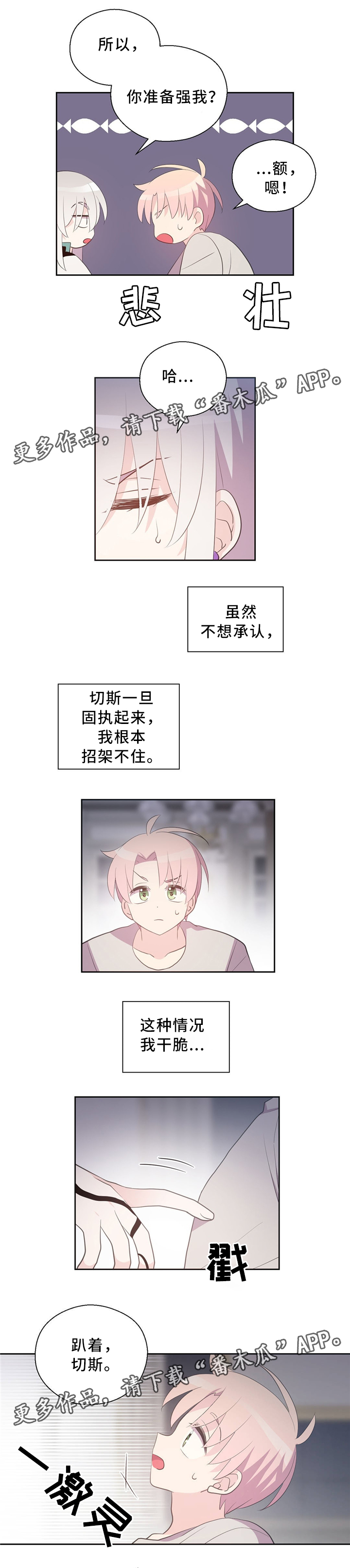 3.jpg
