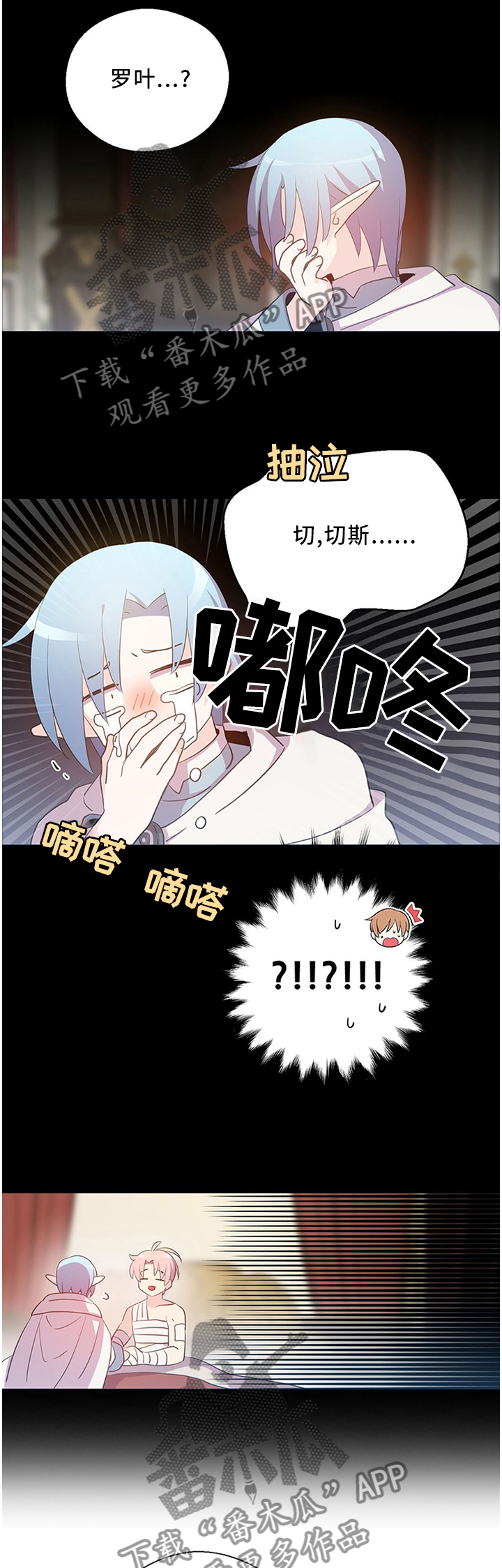 3.jpg
