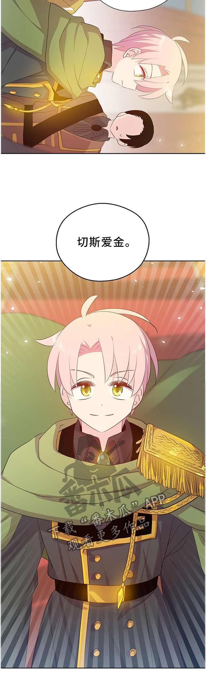 4.jpg