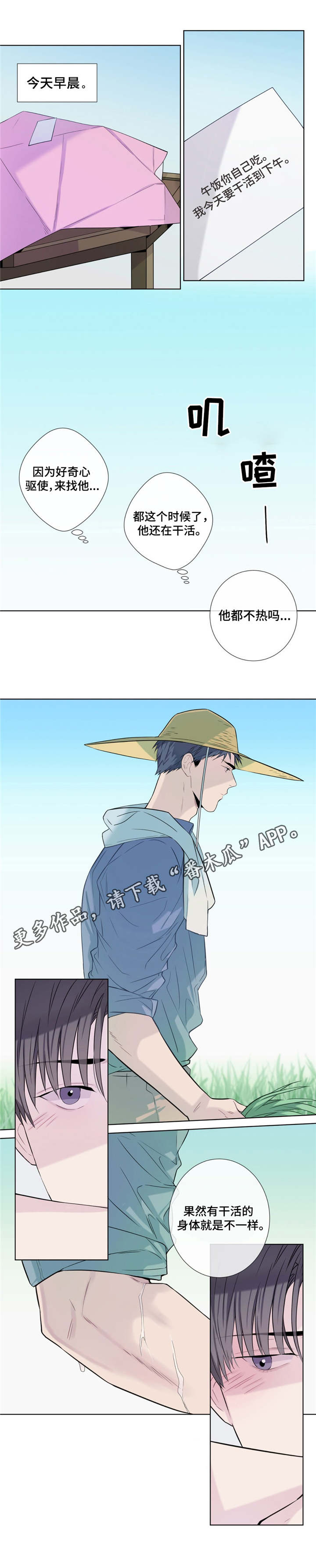 6.jpg