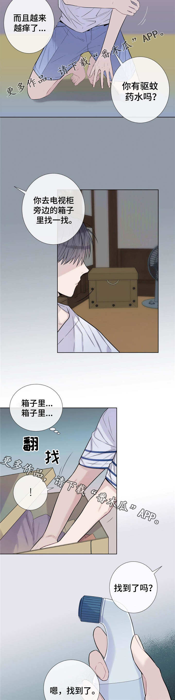 6.jpg