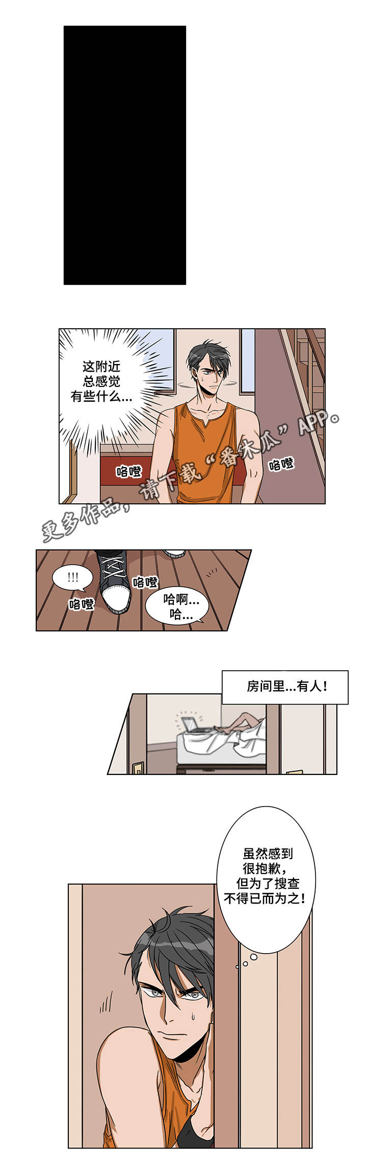 5.jpg