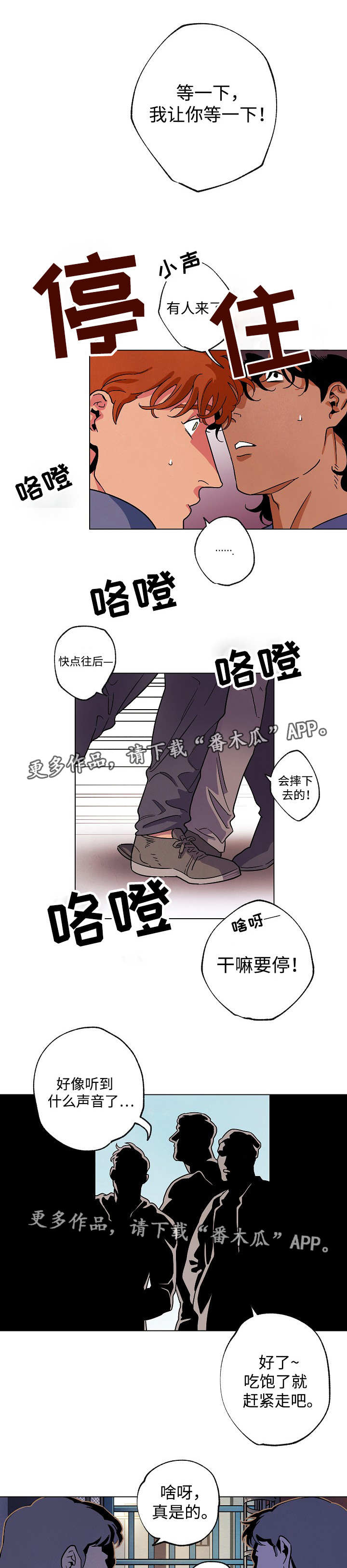 5.jpg