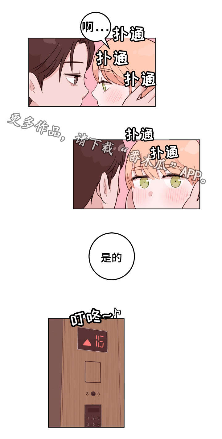 13.jpg
