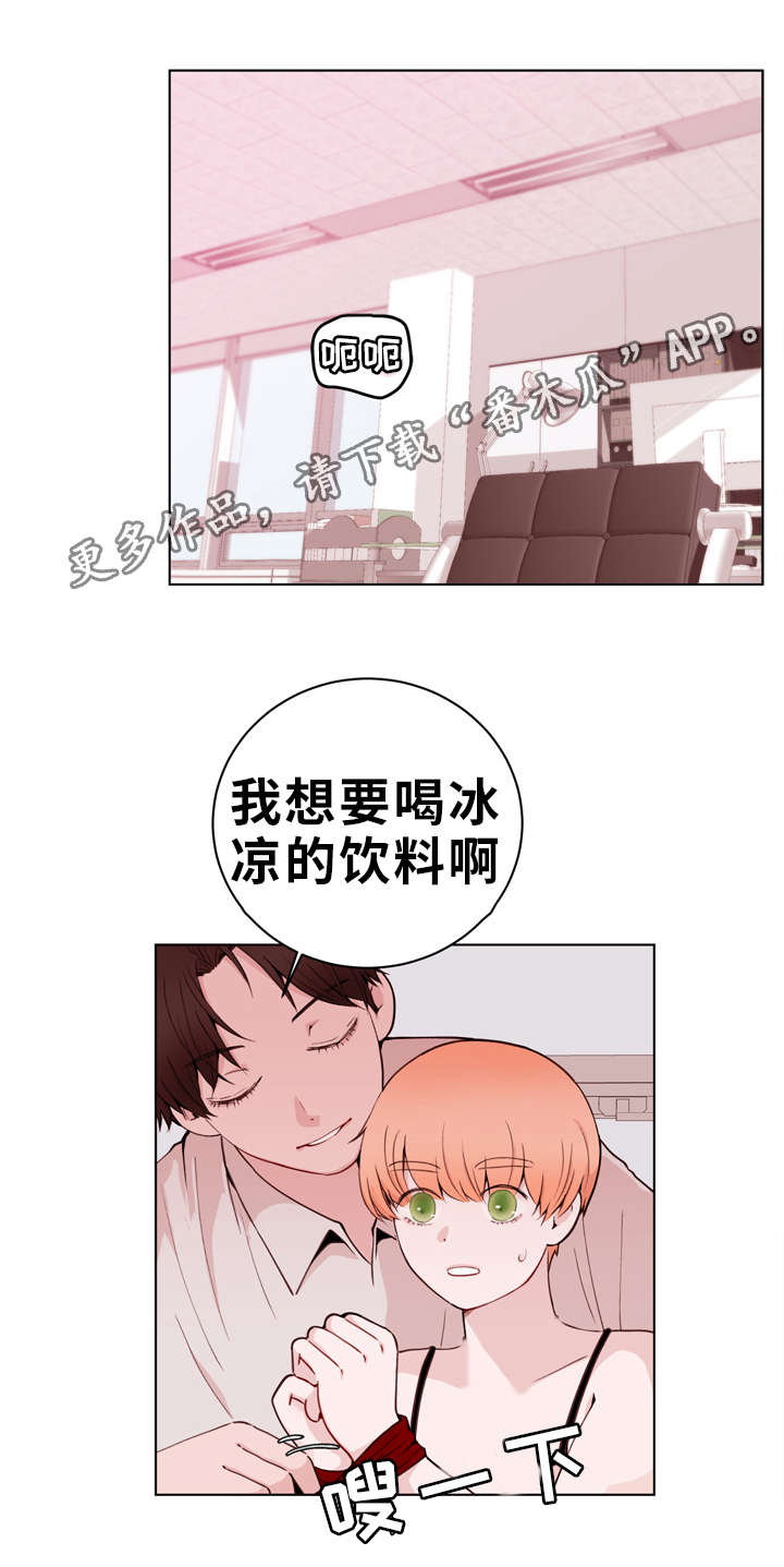 16.jpg