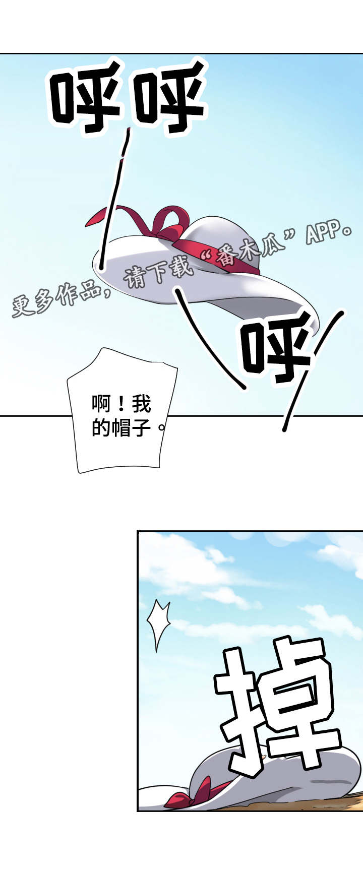 8.jpg