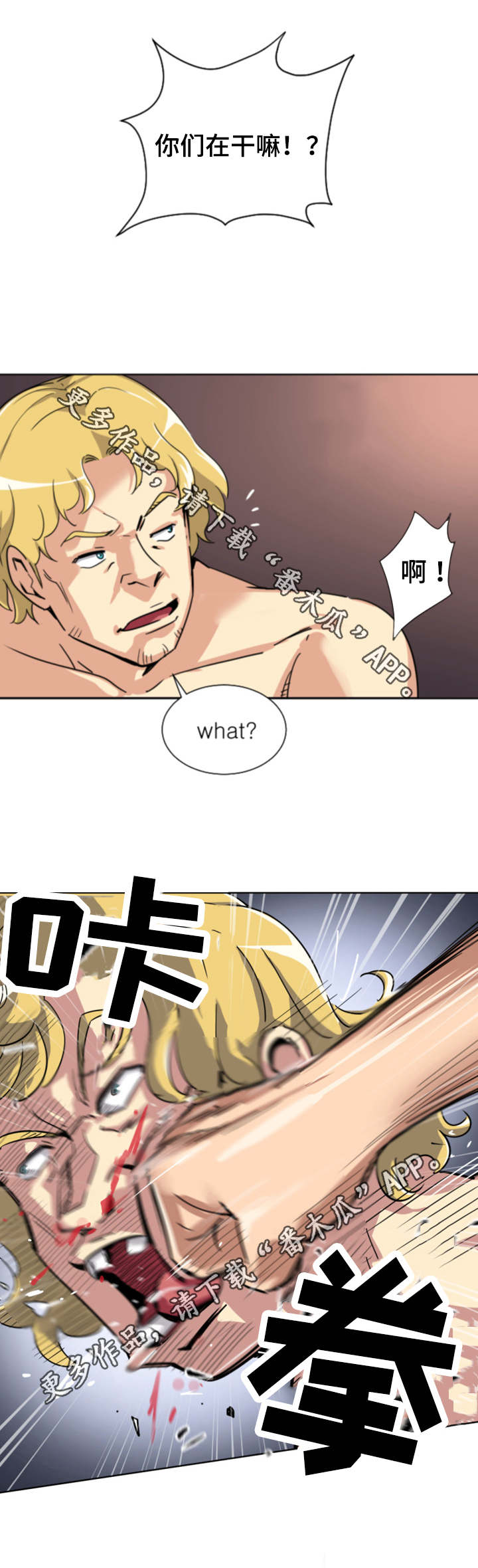 11.jpg