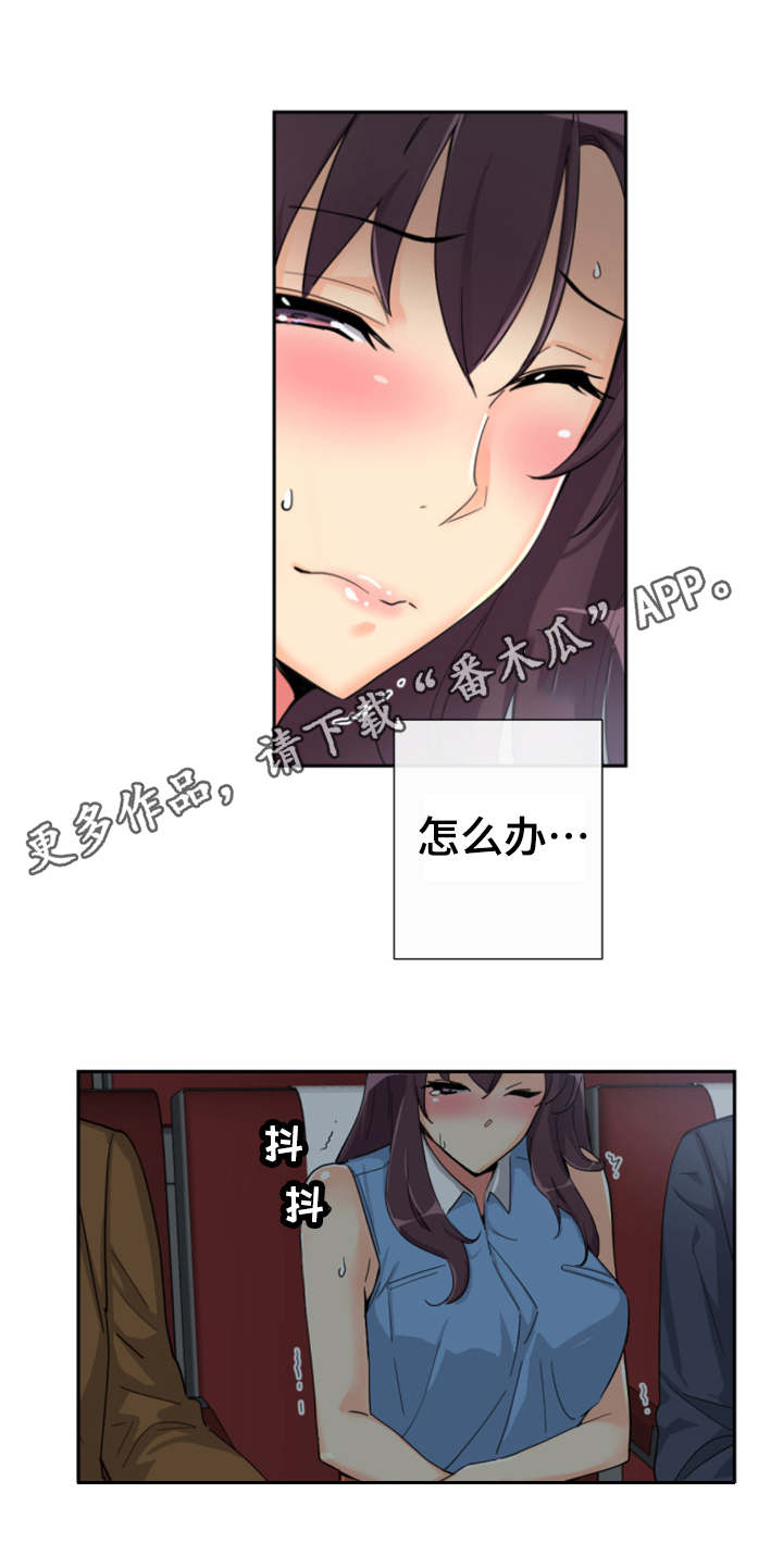 12.jpg
