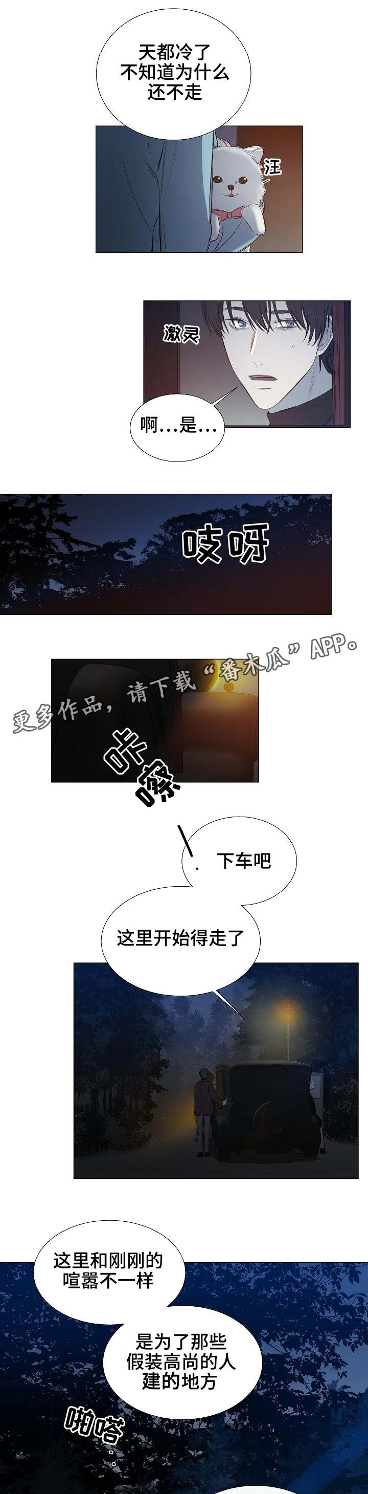 5.jpg