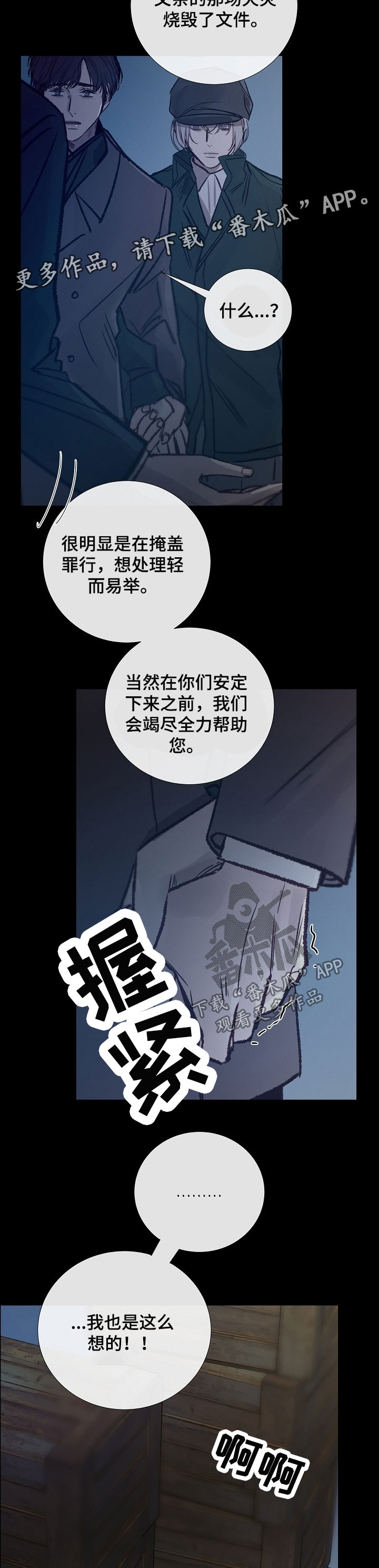 6.jpg
