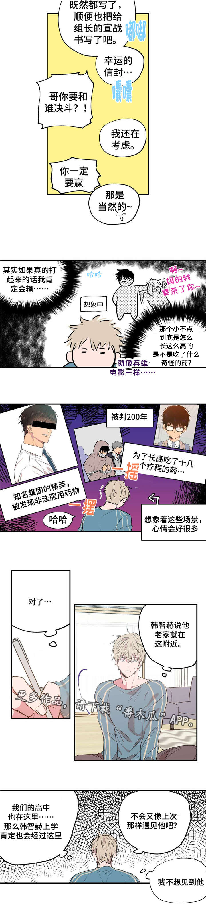 5.jpg