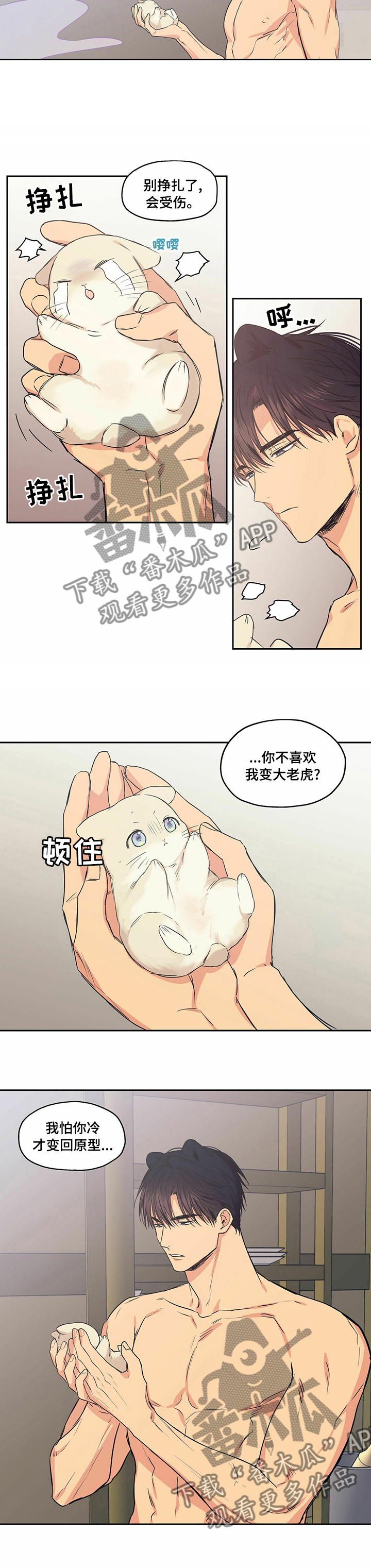 4.jpg