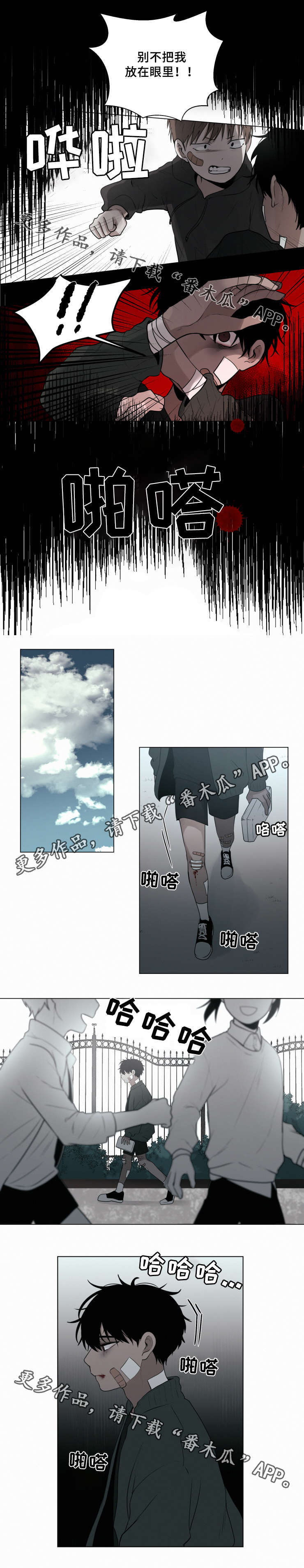 5.jpg