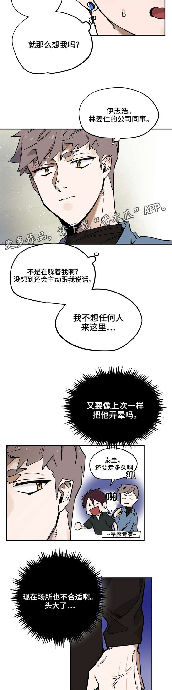 5.jpg
