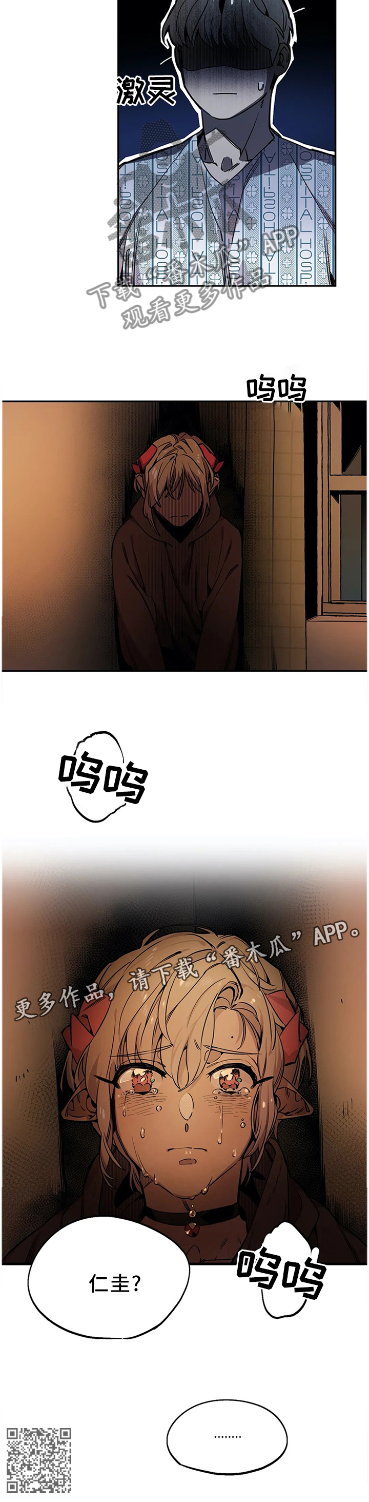 11.jpg