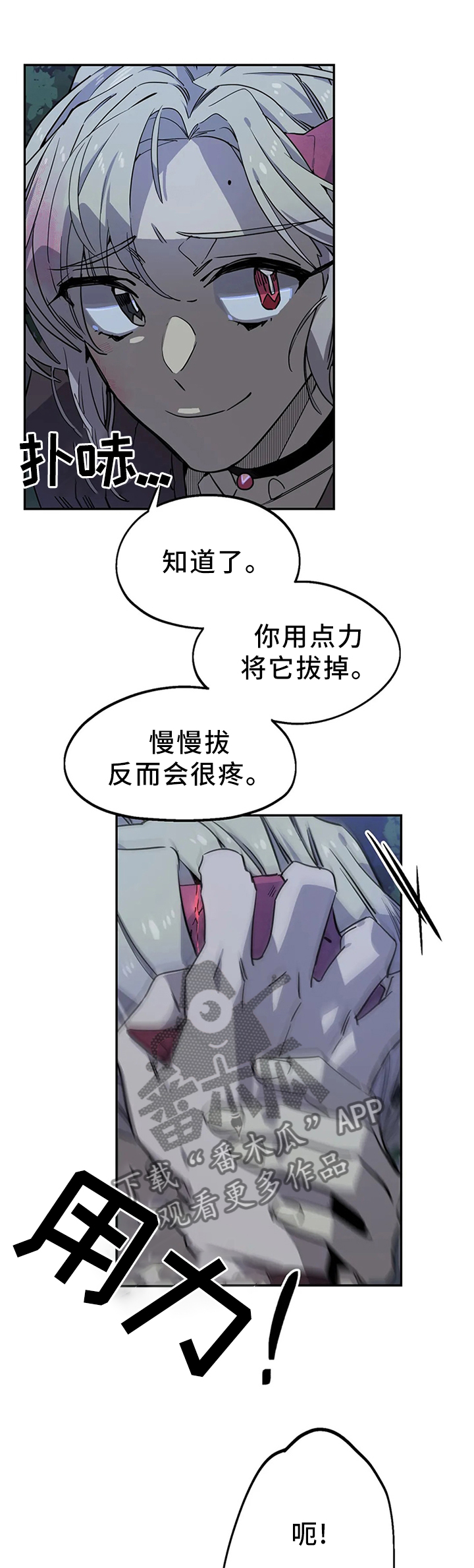 4.jpg