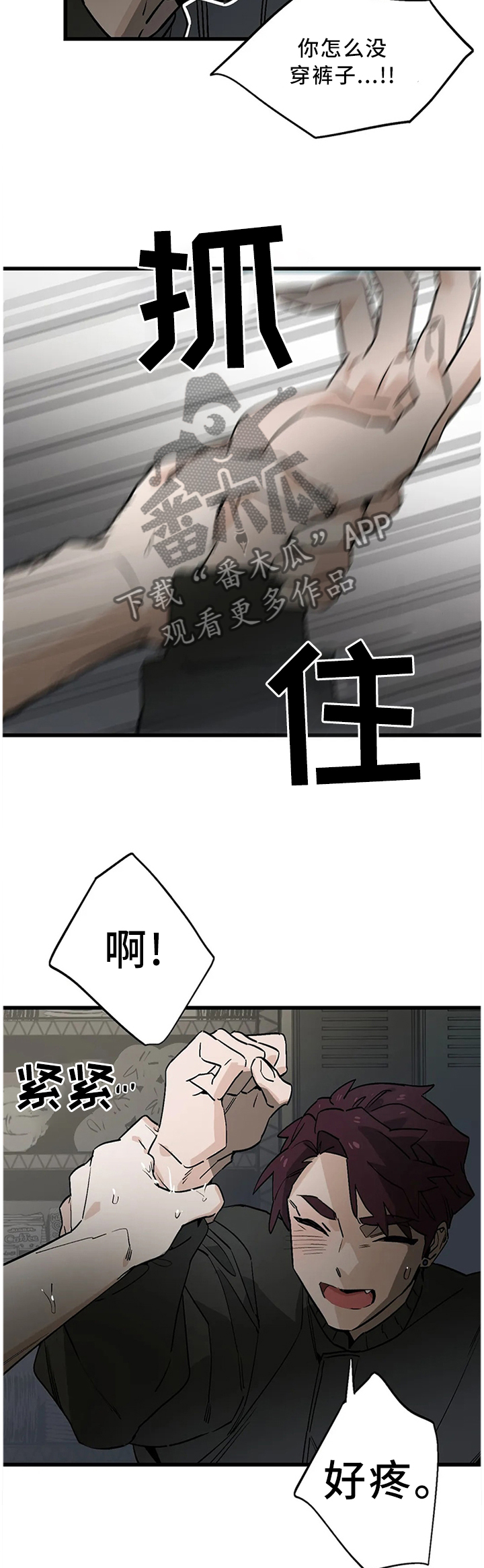 2.jpg