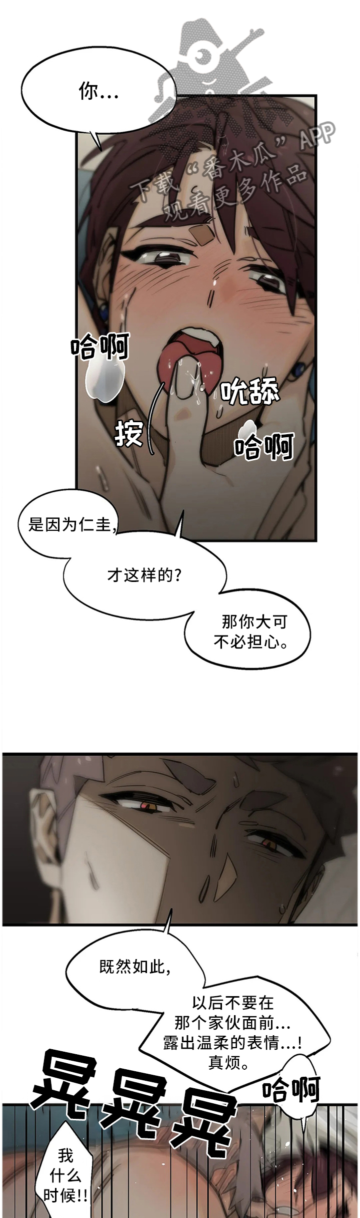 6.jpg