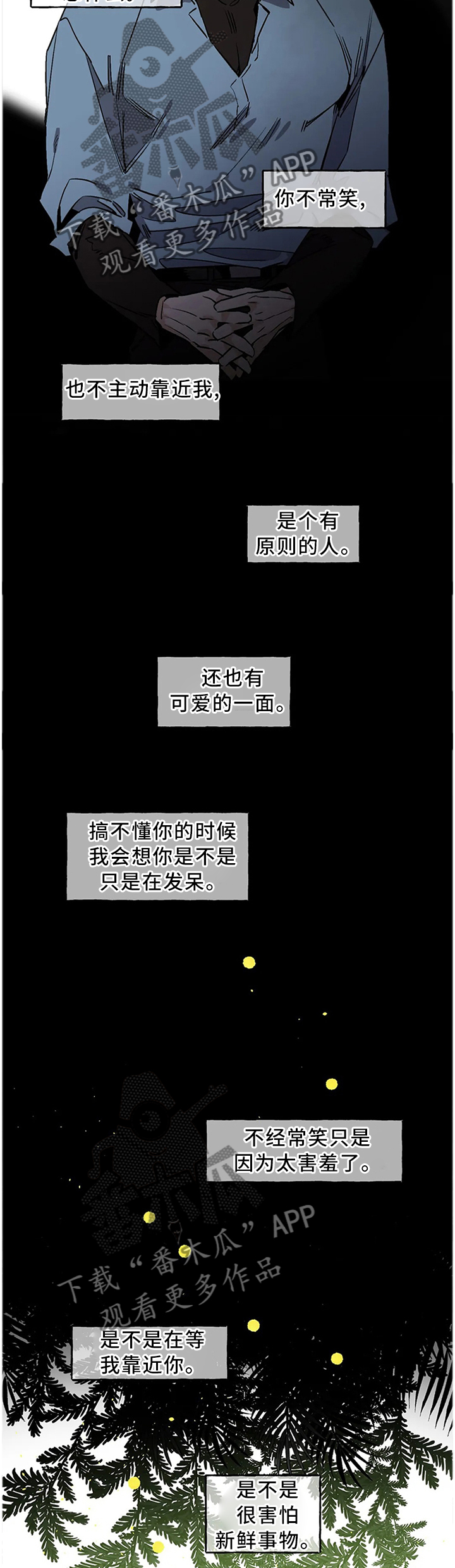 5.jpg