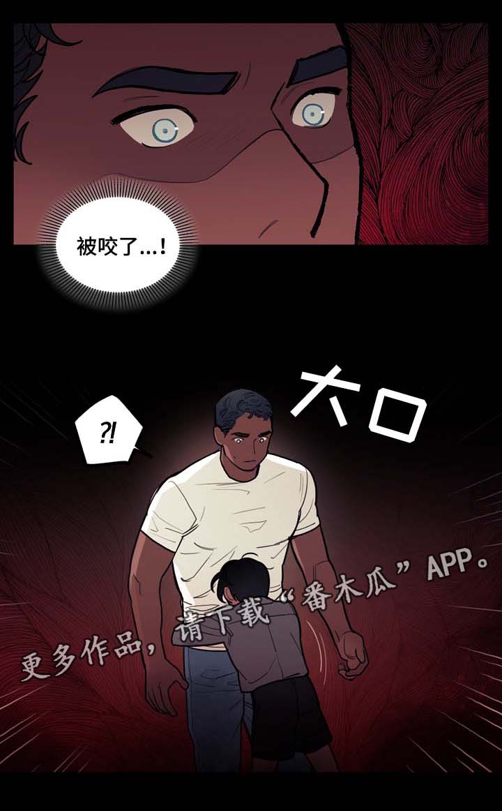 16.jpg